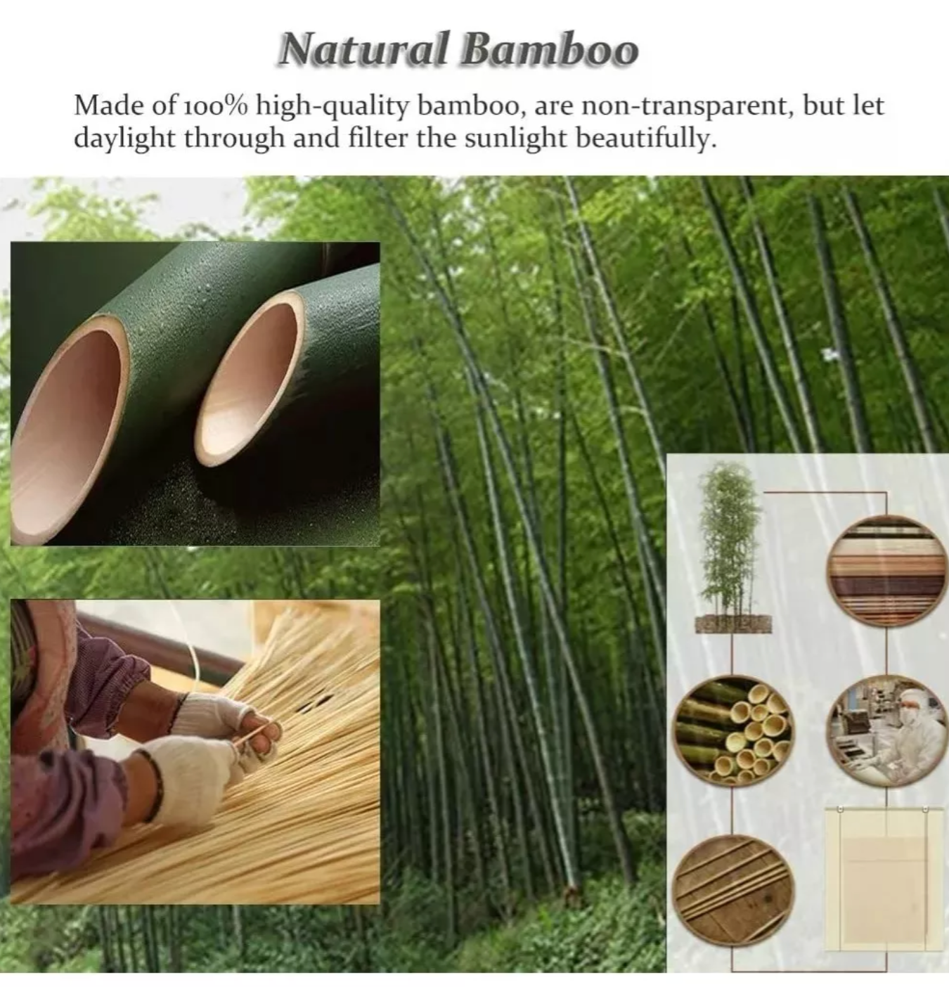 Cortina Bambu Roller Cortinas Bambu Persiana Bambu 150x180cm